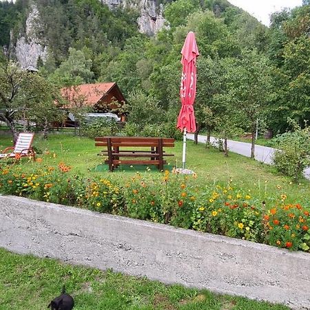 Apartma Vidic Gozd Martuljek Extérieur photo