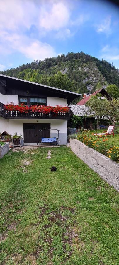 Apartma Vidic Gozd Martuljek Extérieur photo