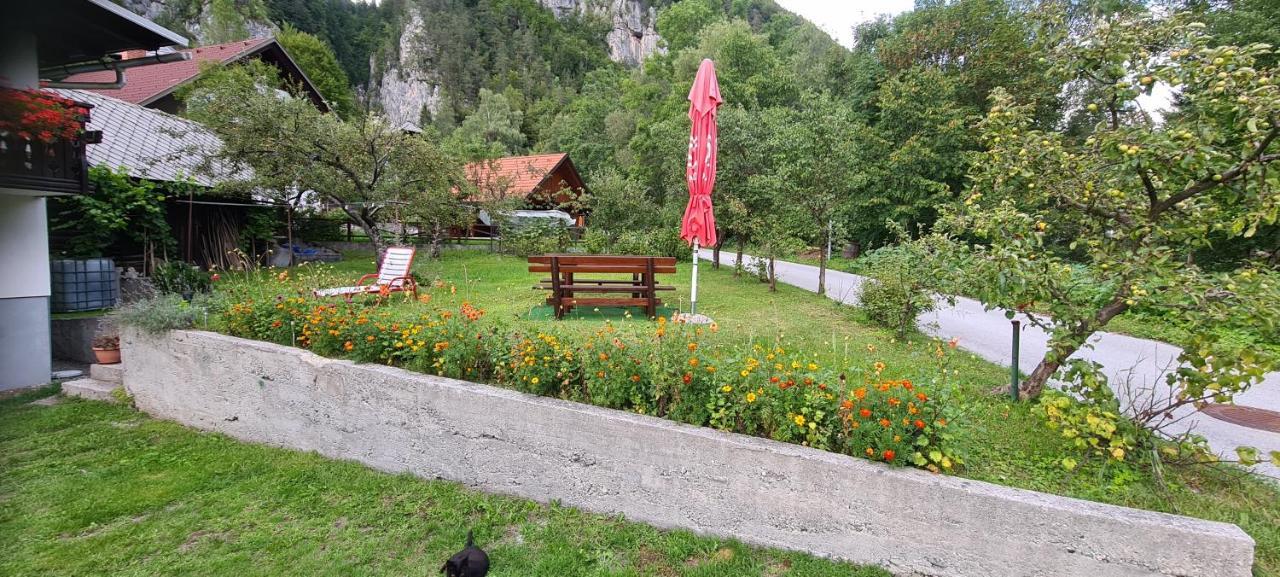 Apartma Vidic Gozd Martuljek Extérieur photo